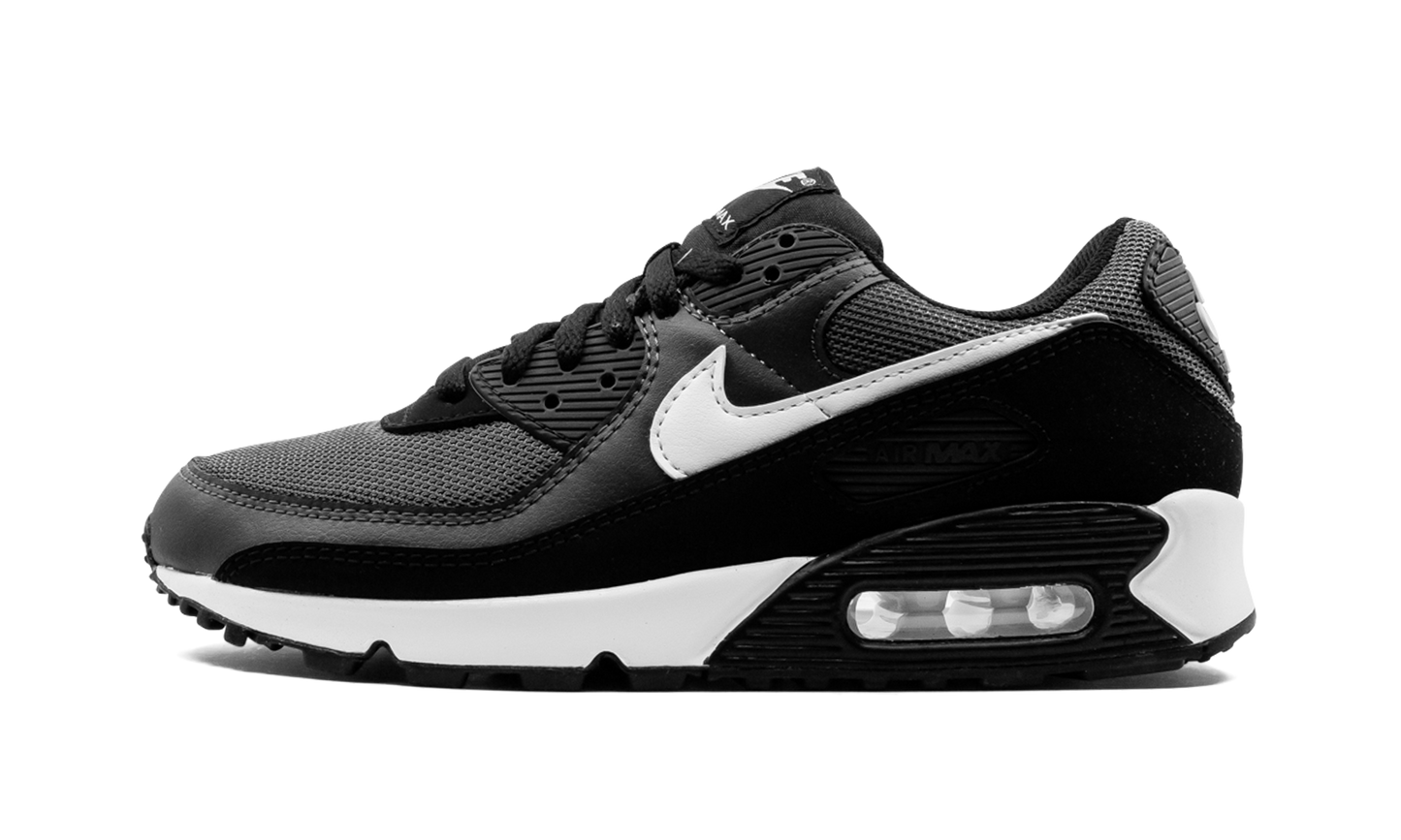 Air Max 90 "Iron Grey" CN8490 002