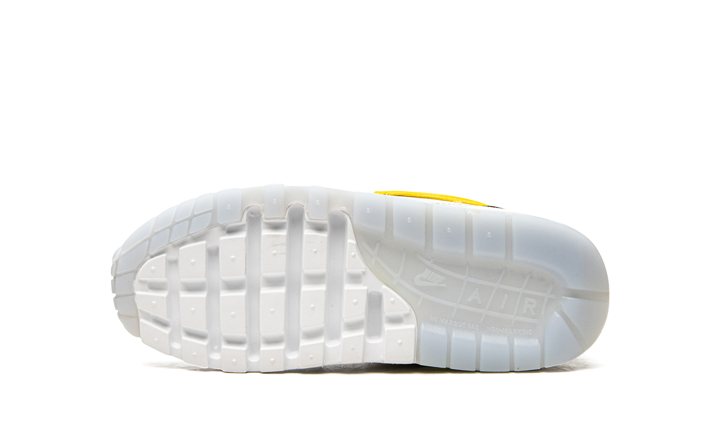 Air Max 1 GS "Daisy Pack" CW5861 100