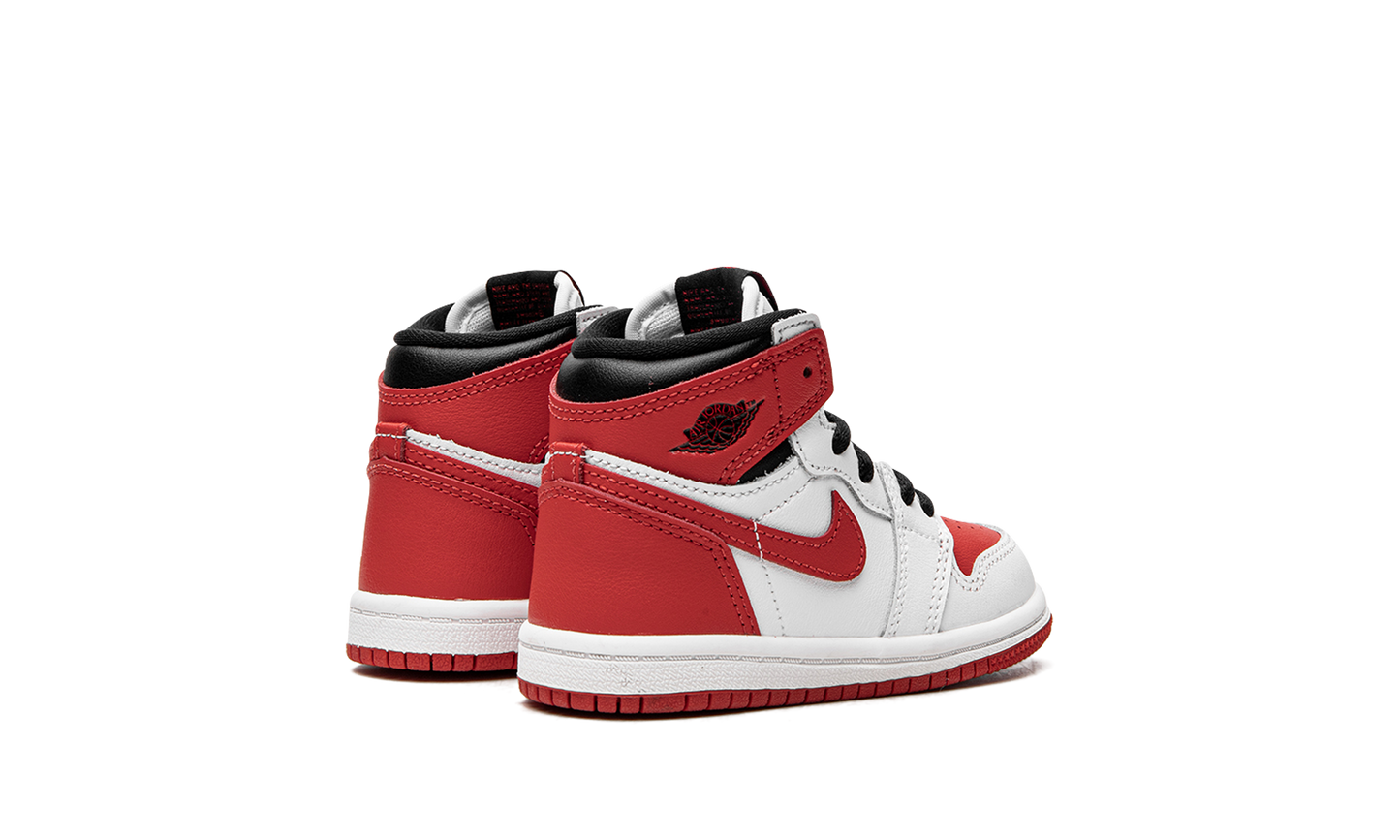 Air Jordan 1 Retro High TD "Heritage" AQ2665 161