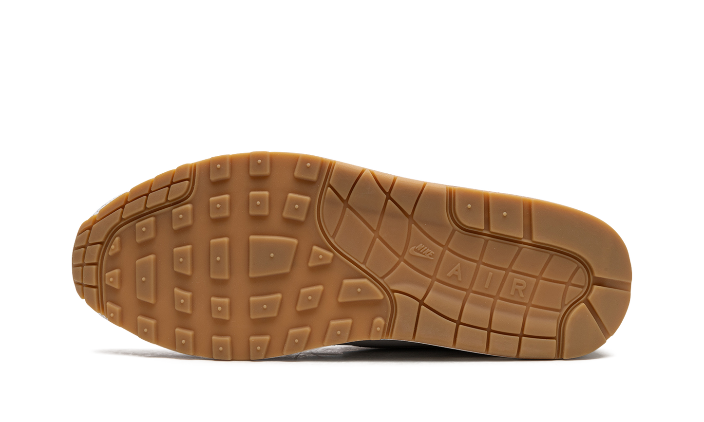 Air Max 1 "The Bay" FJ4451 100