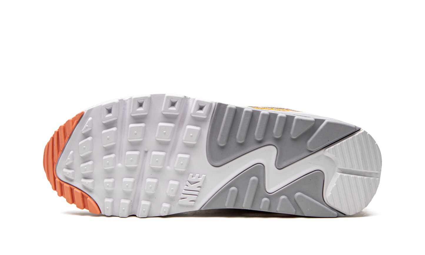 AIR MAX 90 MNS WMNS "We'll Take It From Here" DV2188 100