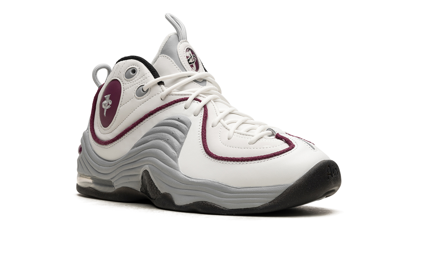 AIR PENNY 2 WMNS "Rosewood" DV1163 100