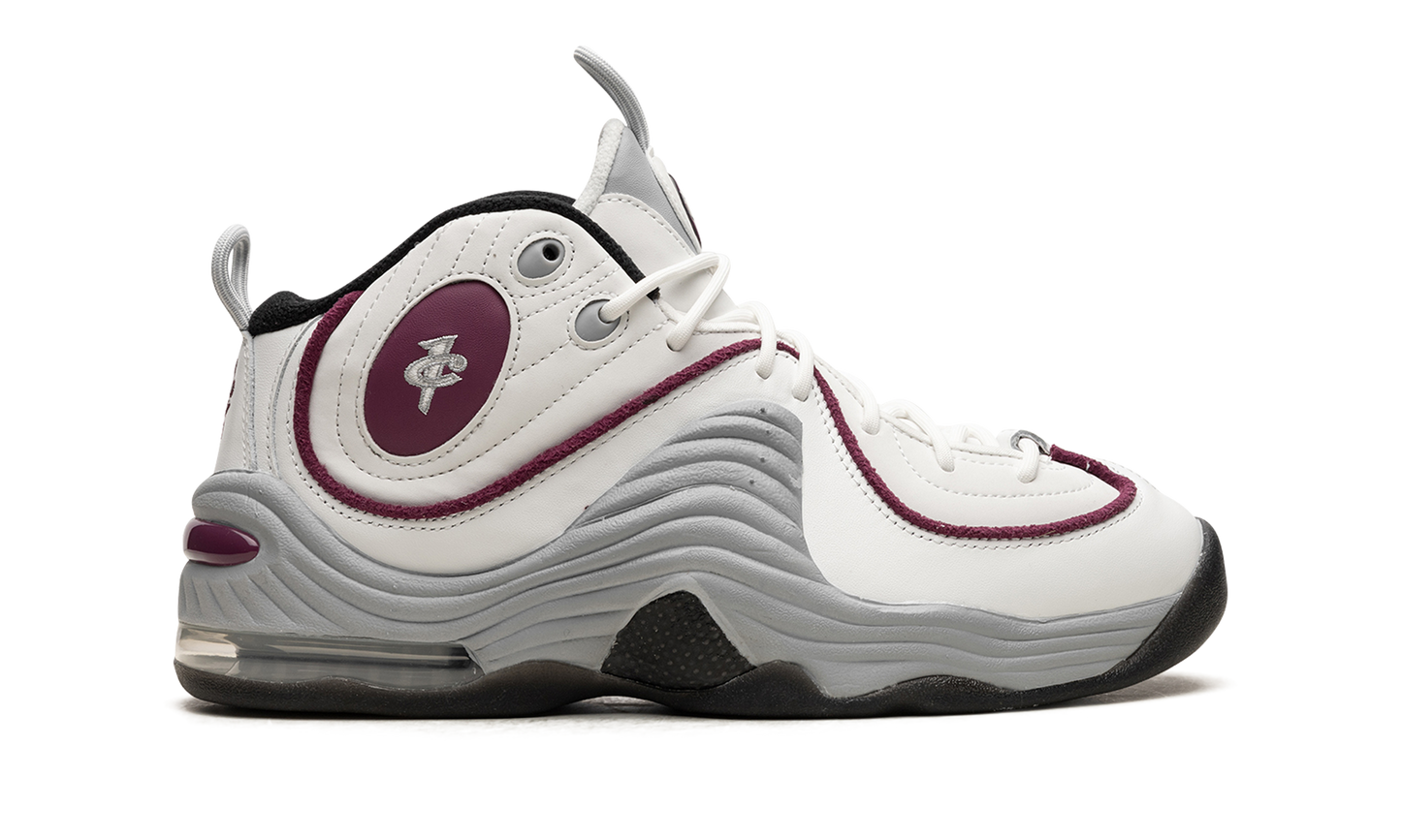 AIR PENNY 2 WMNS "Rosewood" DV1163 100