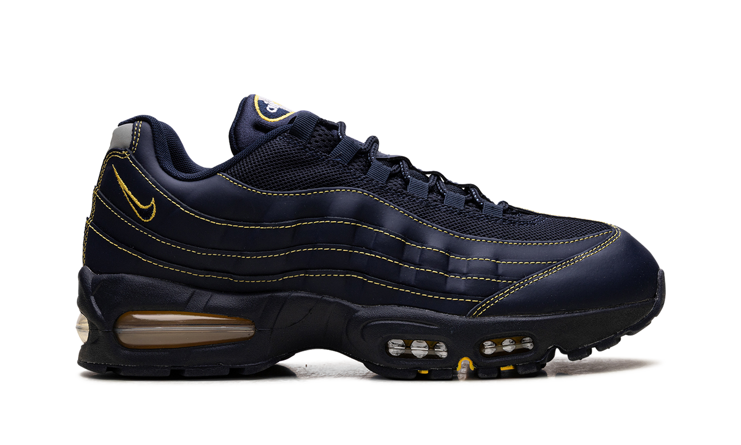 Air Max 95 "Michigan" IB7936 400