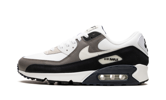 Air Max 90 "Flat Pewter" DZ3522 002