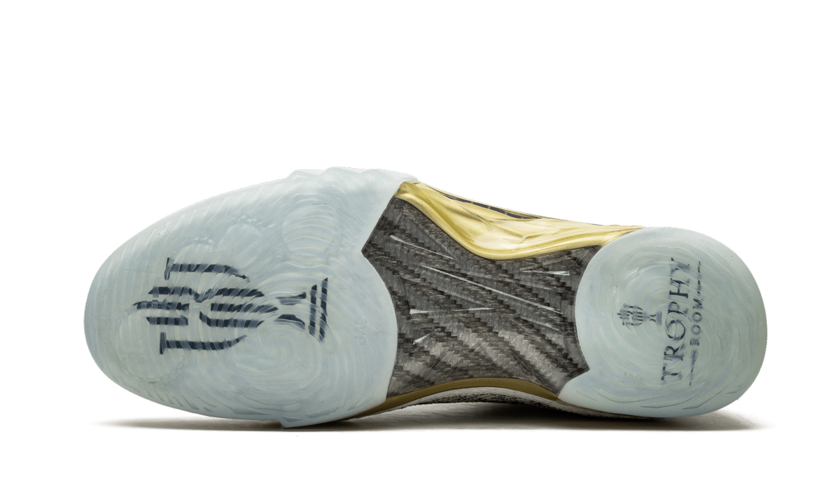 Air Jordan 23 Trophy Room