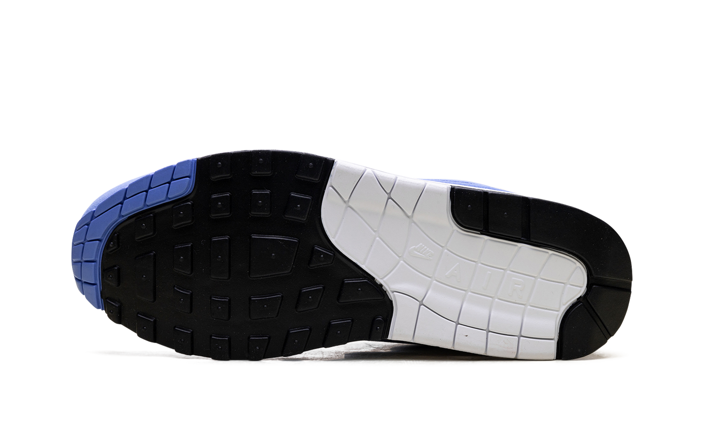 Air Max 1 WMNS "Royal Pulse" DZ2628 113