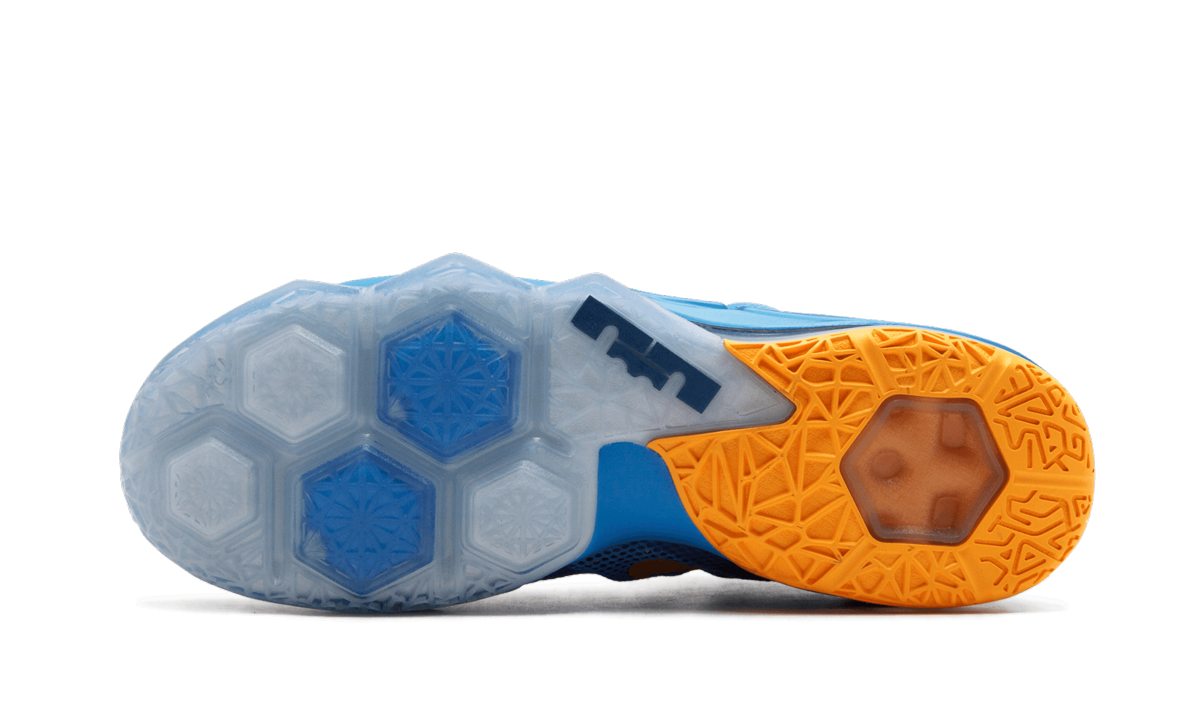Lebron 12 Low "Entourage"