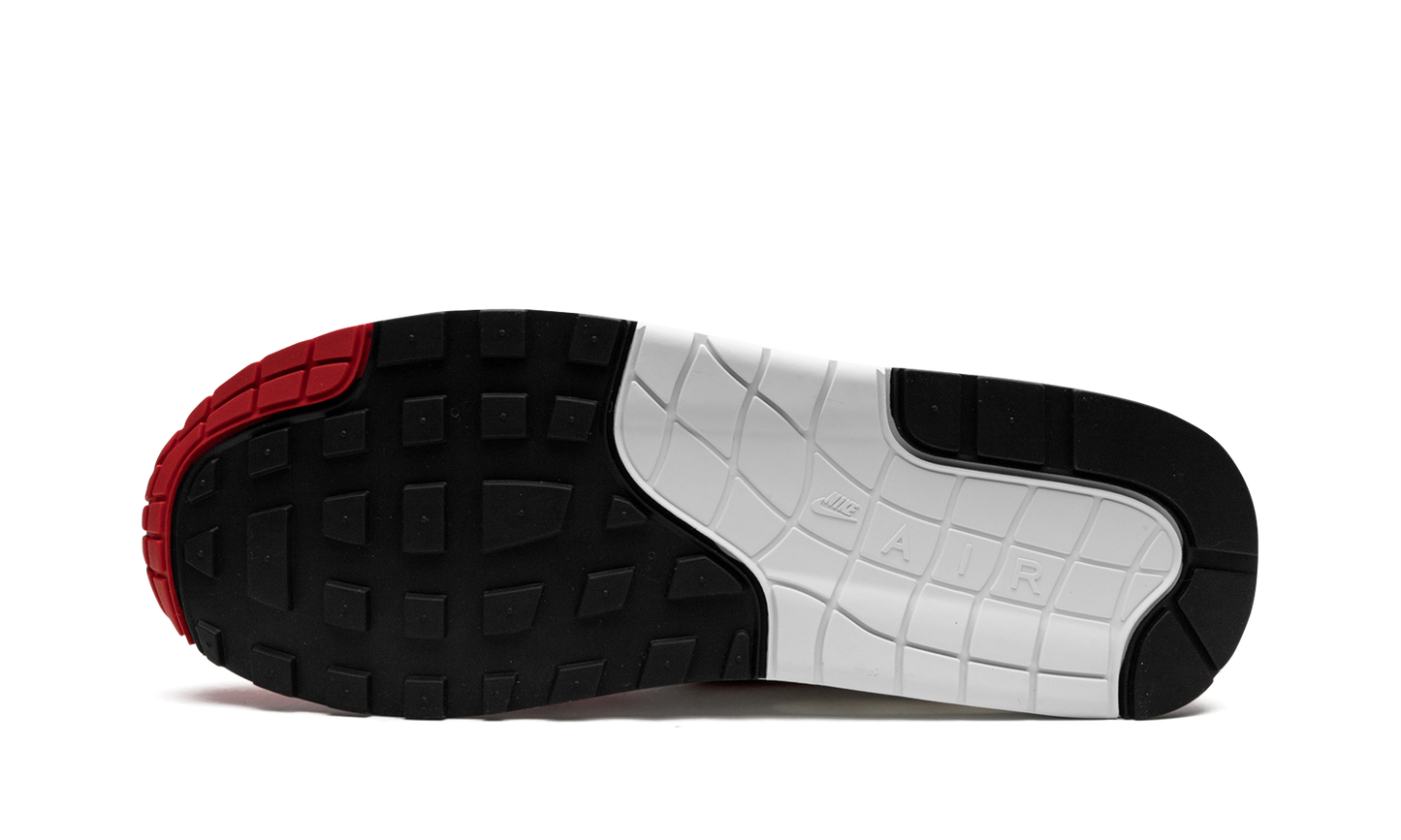 Air Max 1 '86 "Big Bubble - Red" DQ3989 100