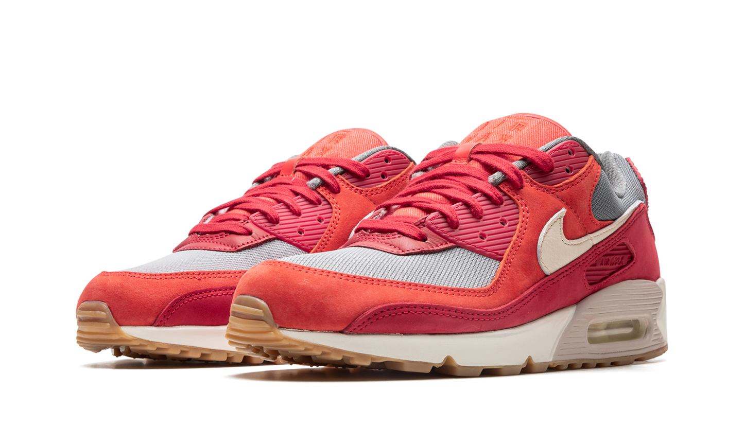 Air Max 90 PRM "Gym Red" DH4621 600