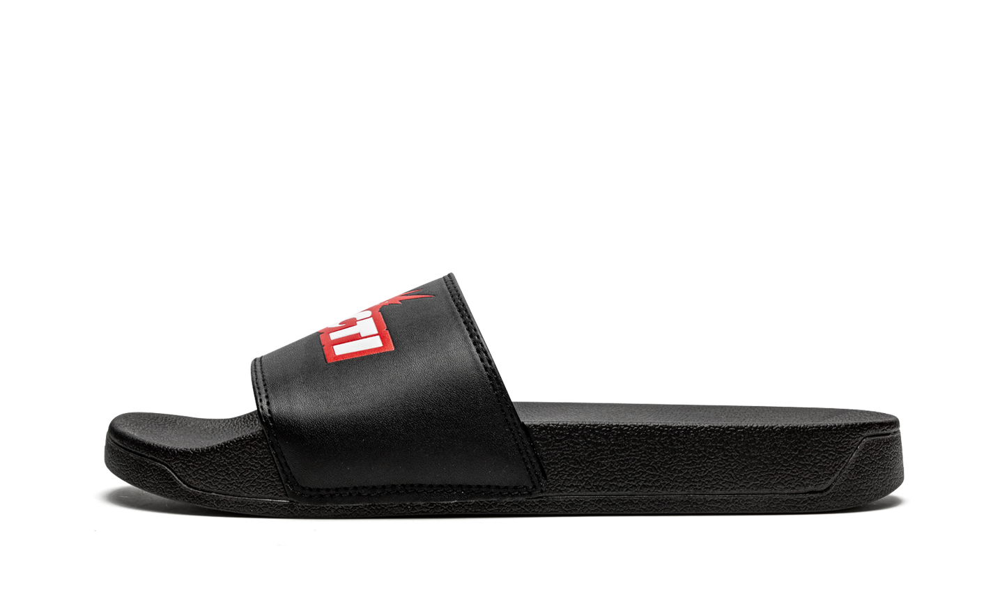 Cacti Slides "Cacti" CACT FS42