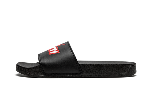 Cacti Slides "Cacti" CACT FS42