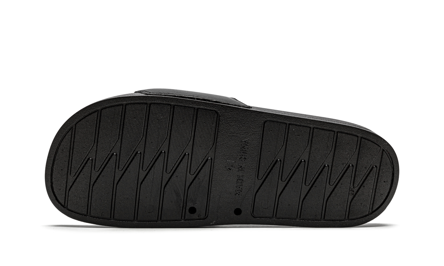 Cacti Slides "Cacti" CACT FS42