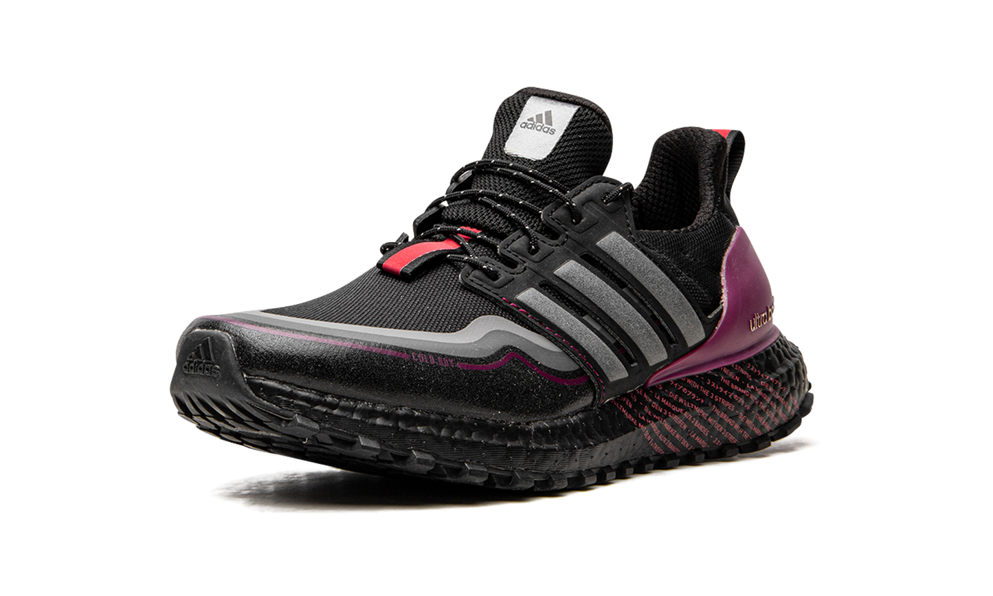 UltraBoost C.RDY DNA G54861