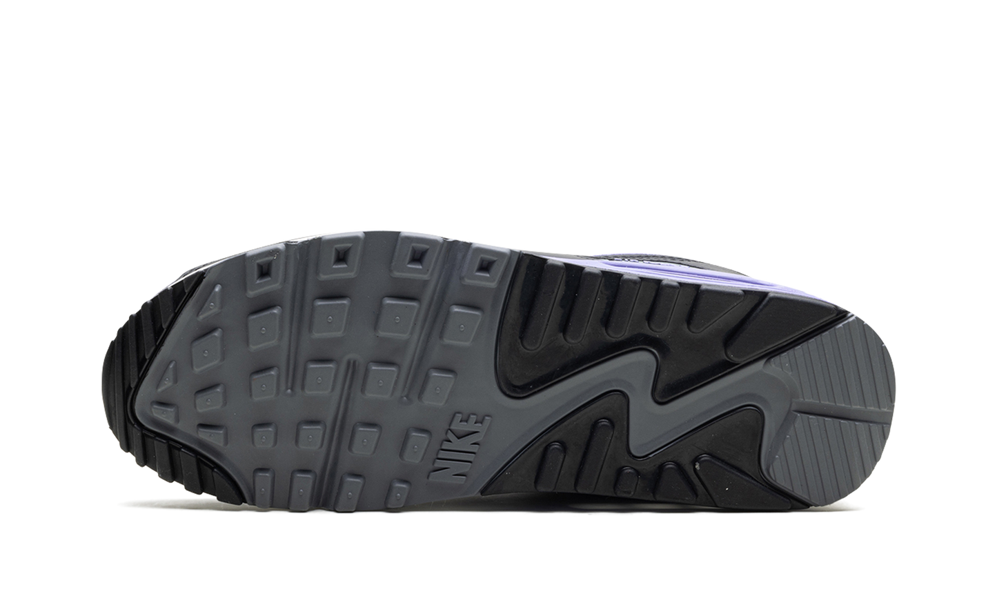 Air Max 90 "Light Thistle" DM0029 014