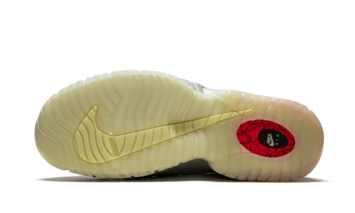 Air Max Penny LE DB (GS) 728591 001