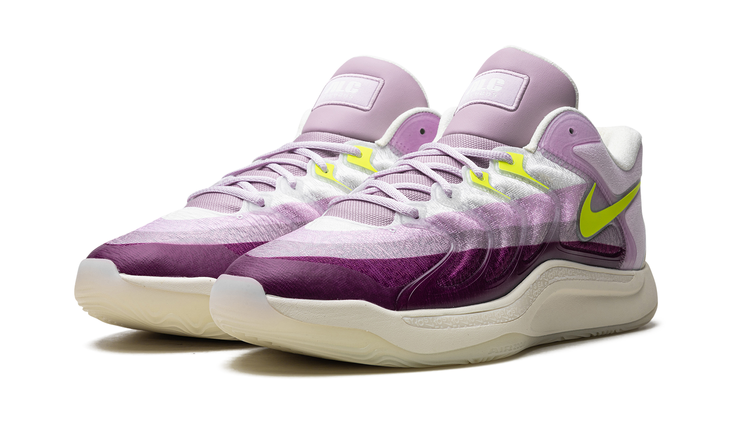 KD 17 "The Alchemist" HJ4464 100