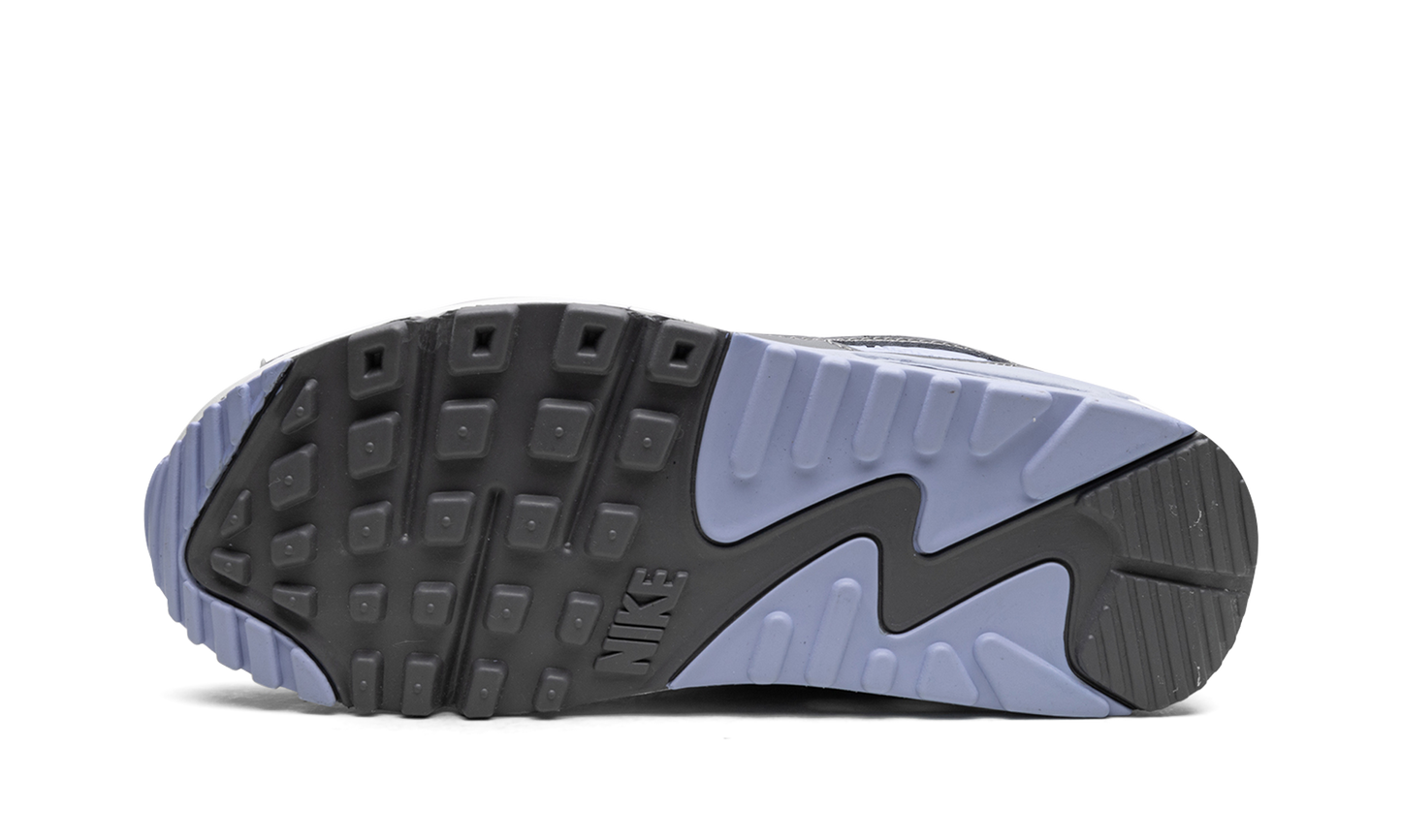 AIR MAX 90 WMNS "Cobalt Bliss" FB8570 100
