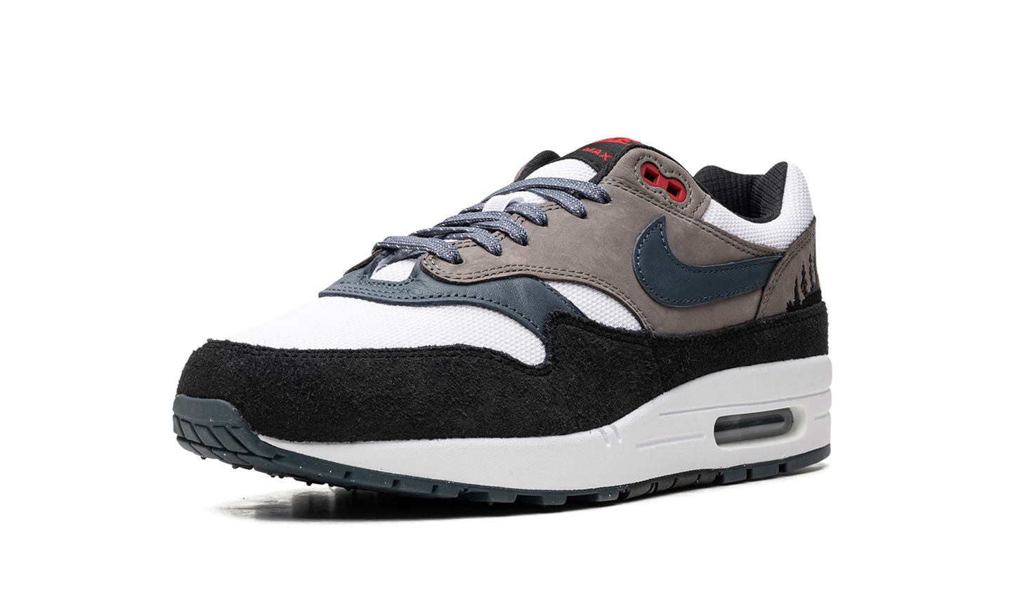 Air Max 1 "Slate Blue" FJ0698 100