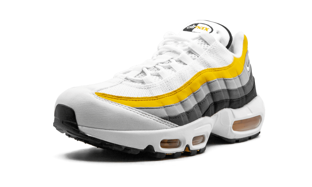 Air Max 95 CD7495 100