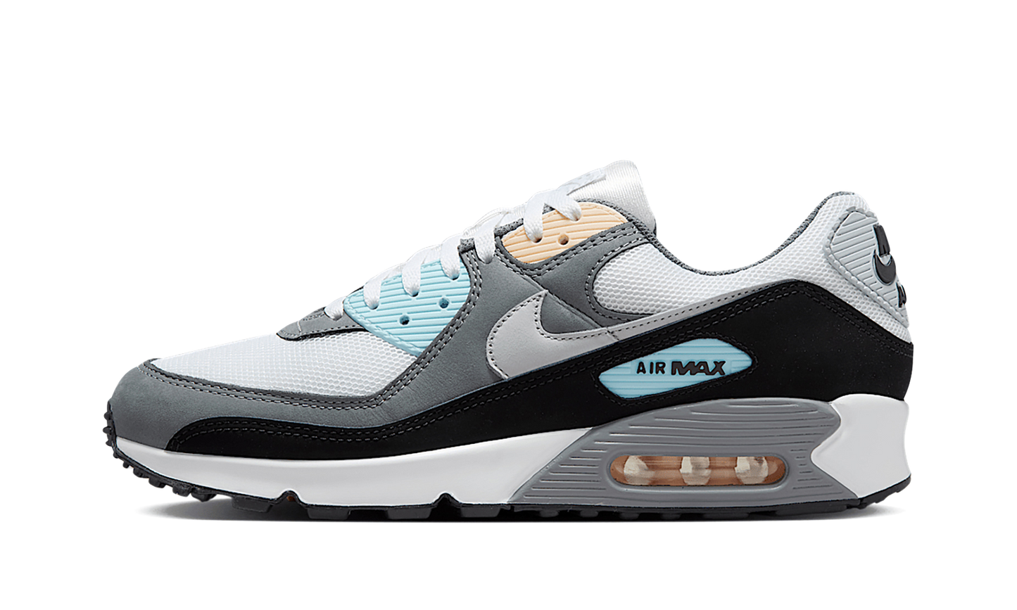 Air Max 90 "Cool Grey Pure Platinum Black" IB7674 001