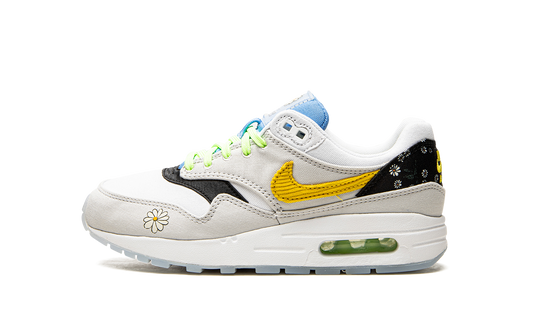 Air Max 1 GS "Daisy Pack" CW5861 100