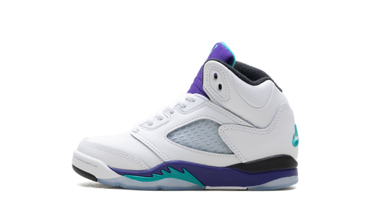 Air Jordan 5 Retro PS "Grape" HQ7979 100