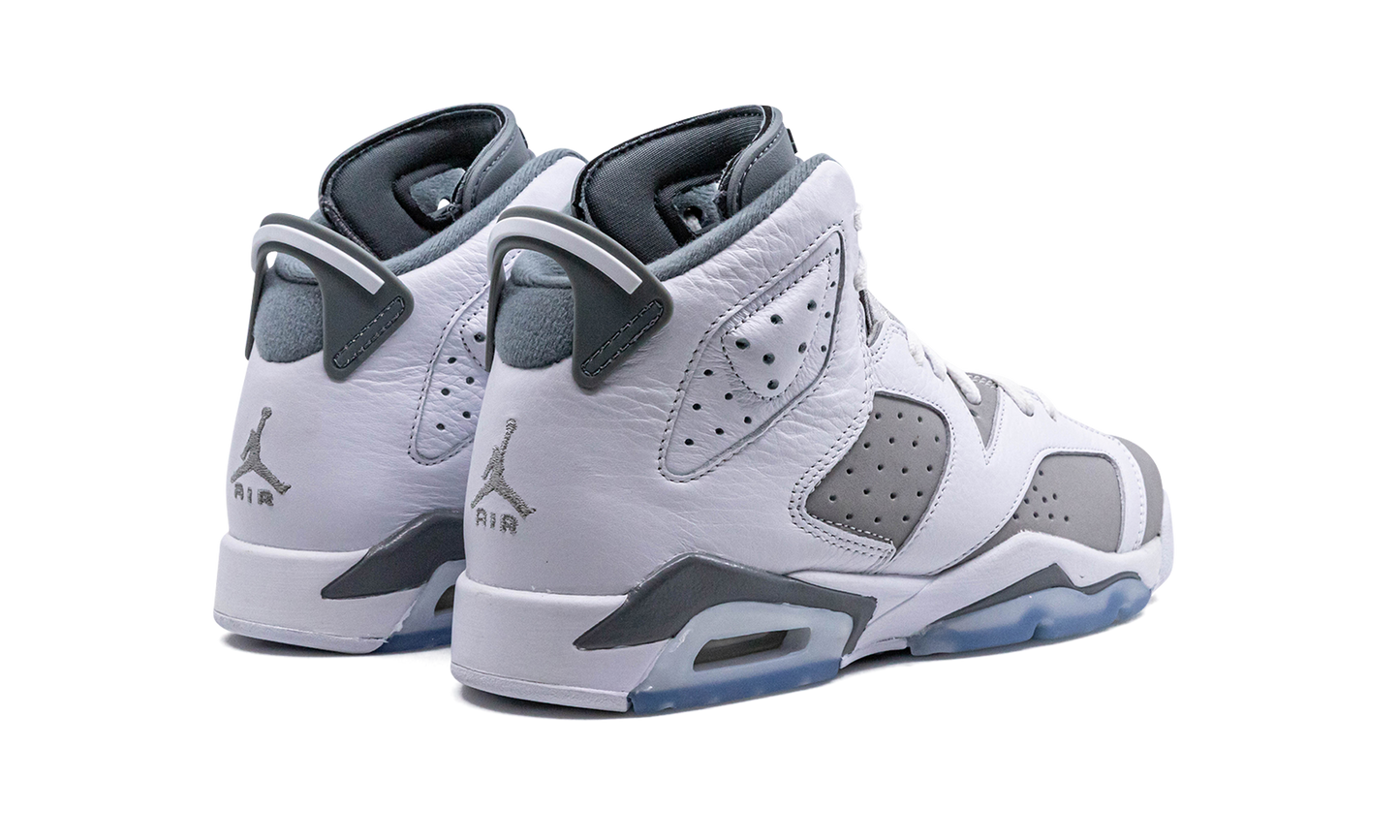Air Jordan 6 GS "Cool Grey" 384665 100
