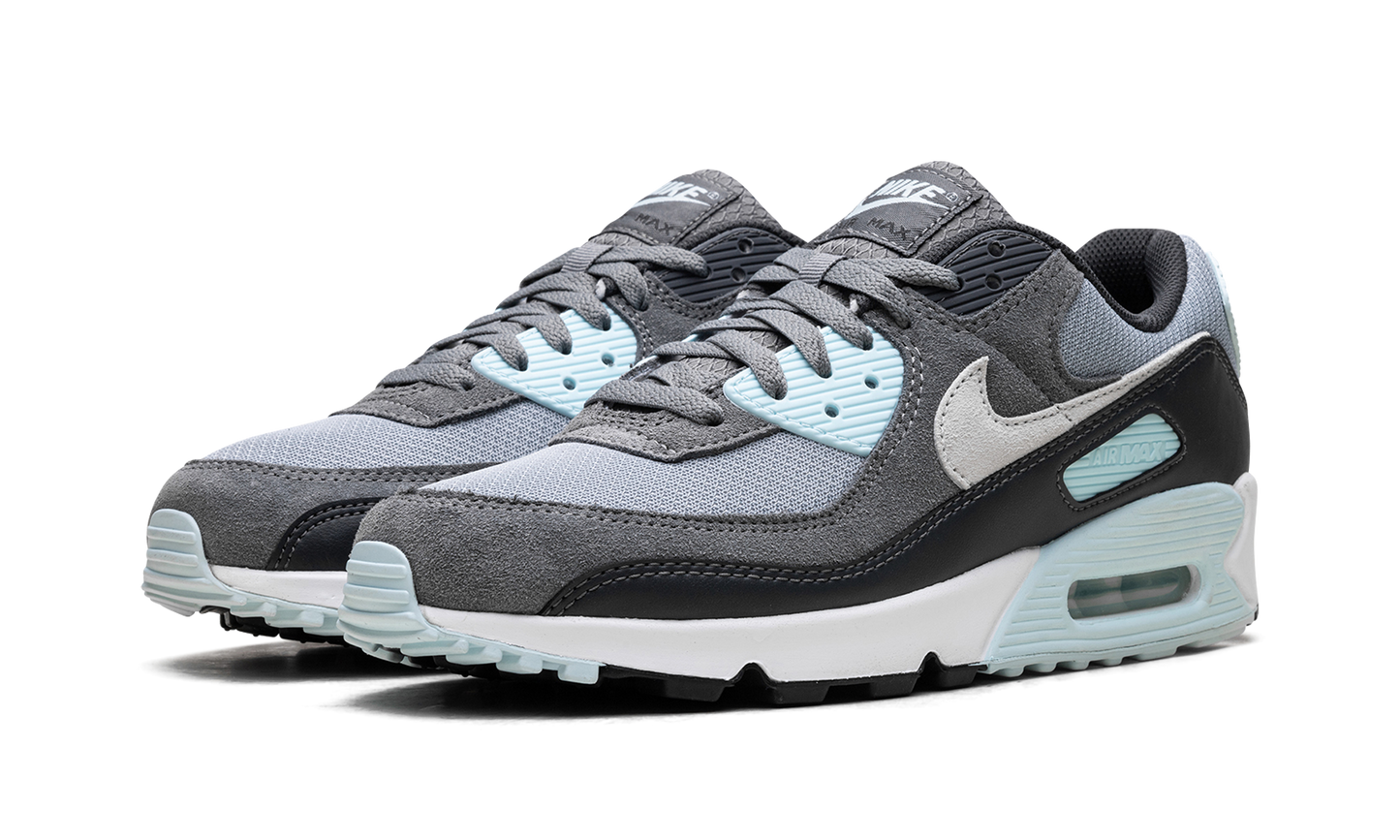 Air Max 90 "Pumice" DM0029 009