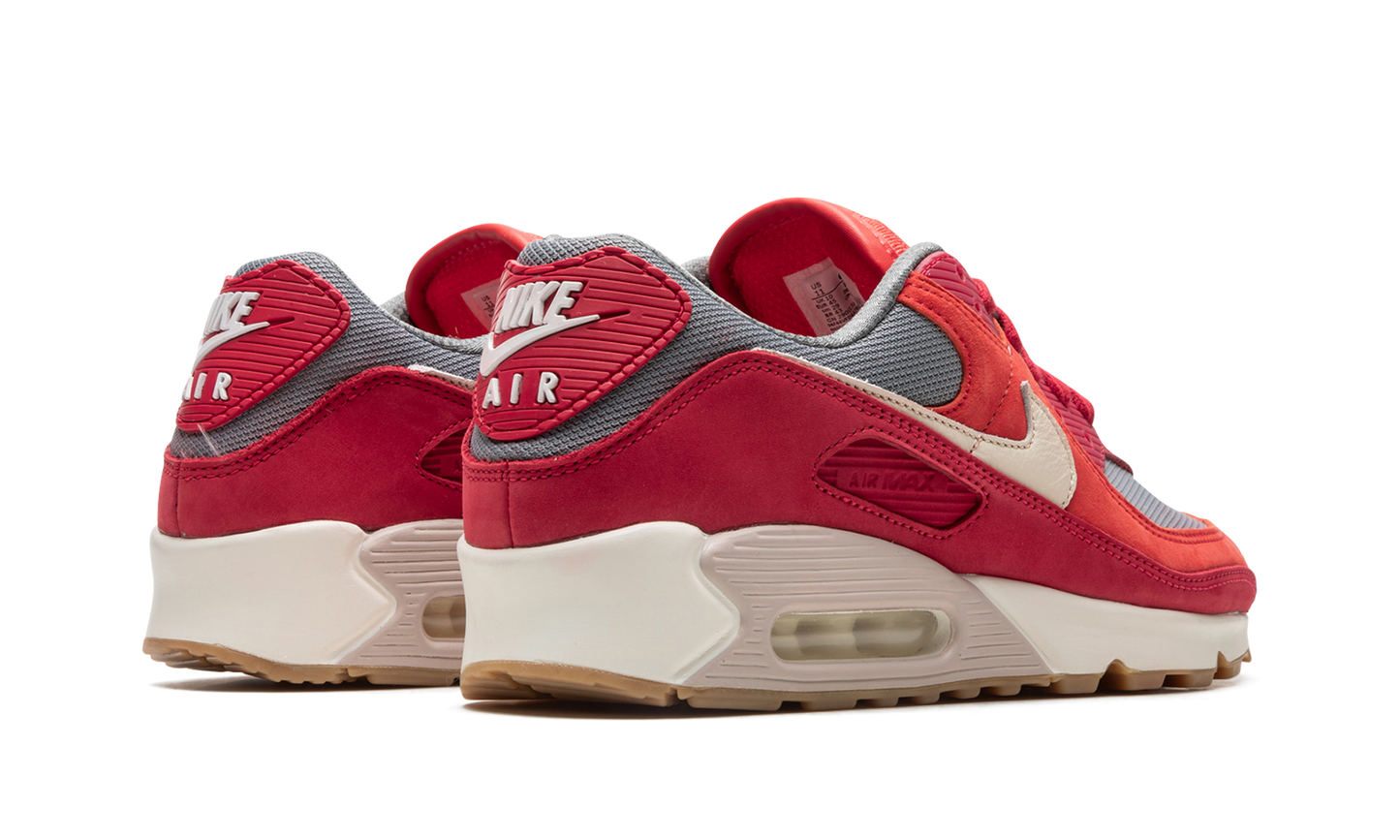 Air Max 90 PRM "Gym Red" DH4621 600