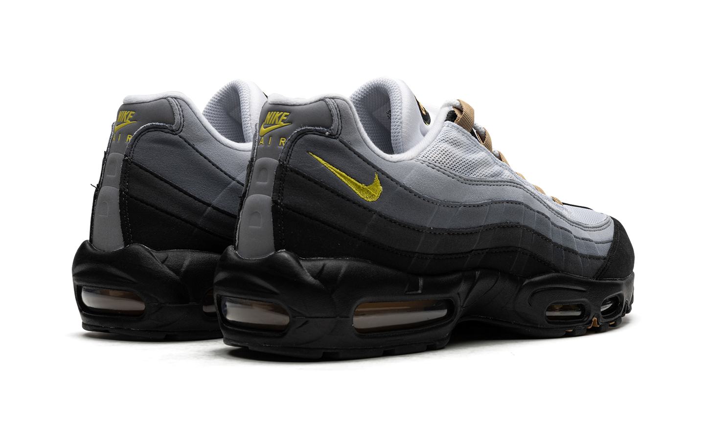 Air Max 95 "ICONS" DX4236 100