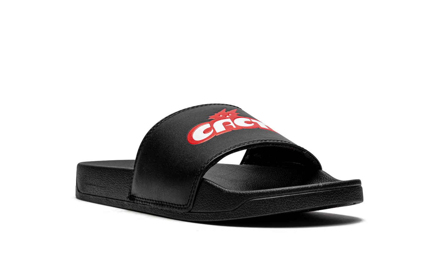 Cacti Slides "Cacti" CACT FS42