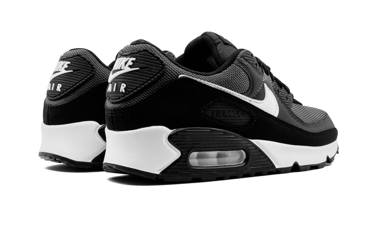 Air Max 90 "Iron Grey" CN8490 002