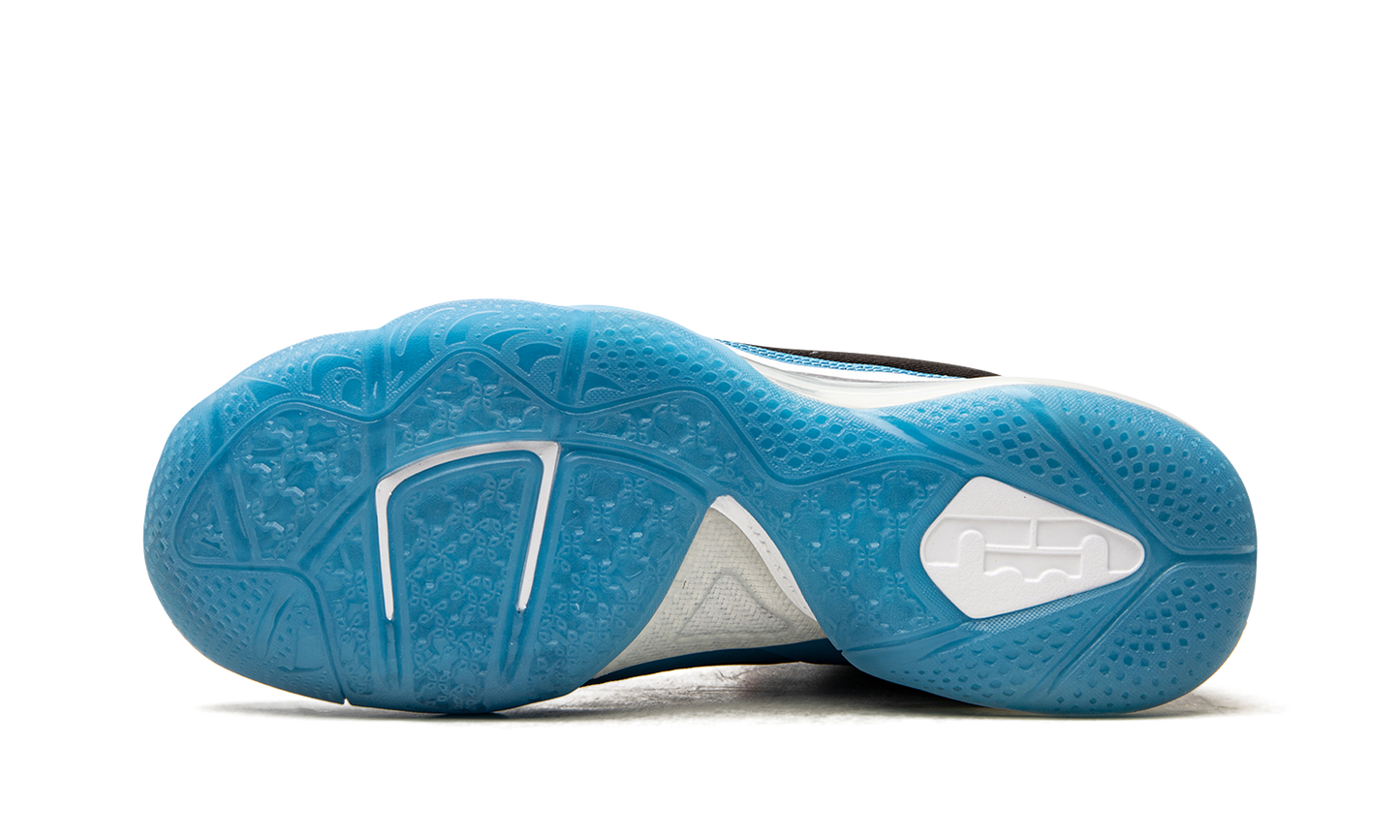 Lebron 9 "South Coast" DO5838 001