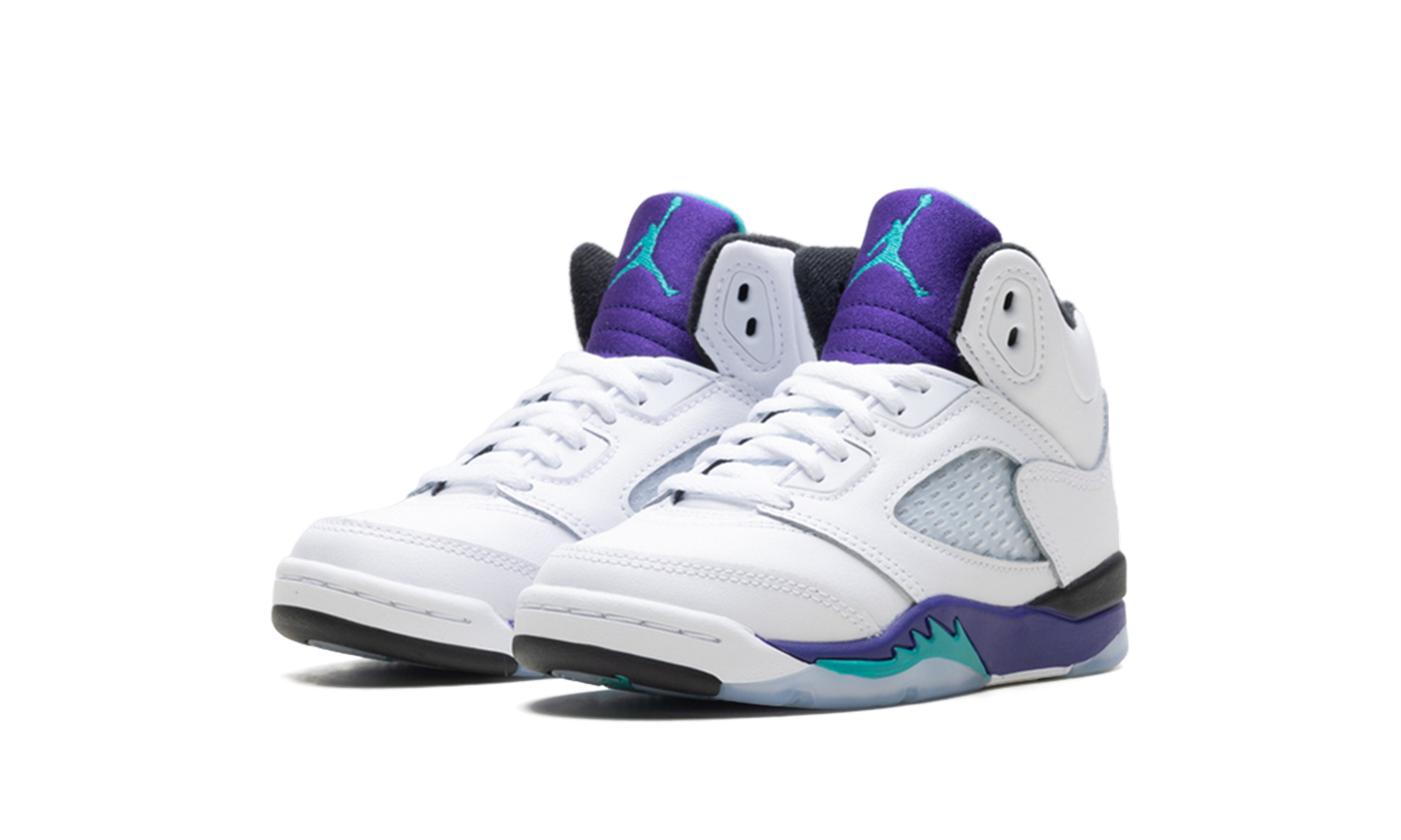 Air Jordan 5 Retro PS "Grape" HQ7979 100
