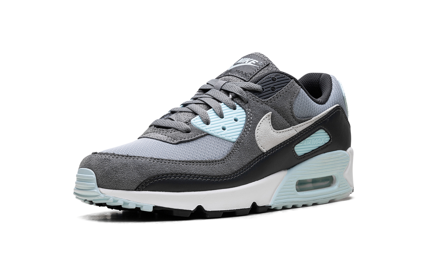 Air Max 90 "Pumice" DM0029 009