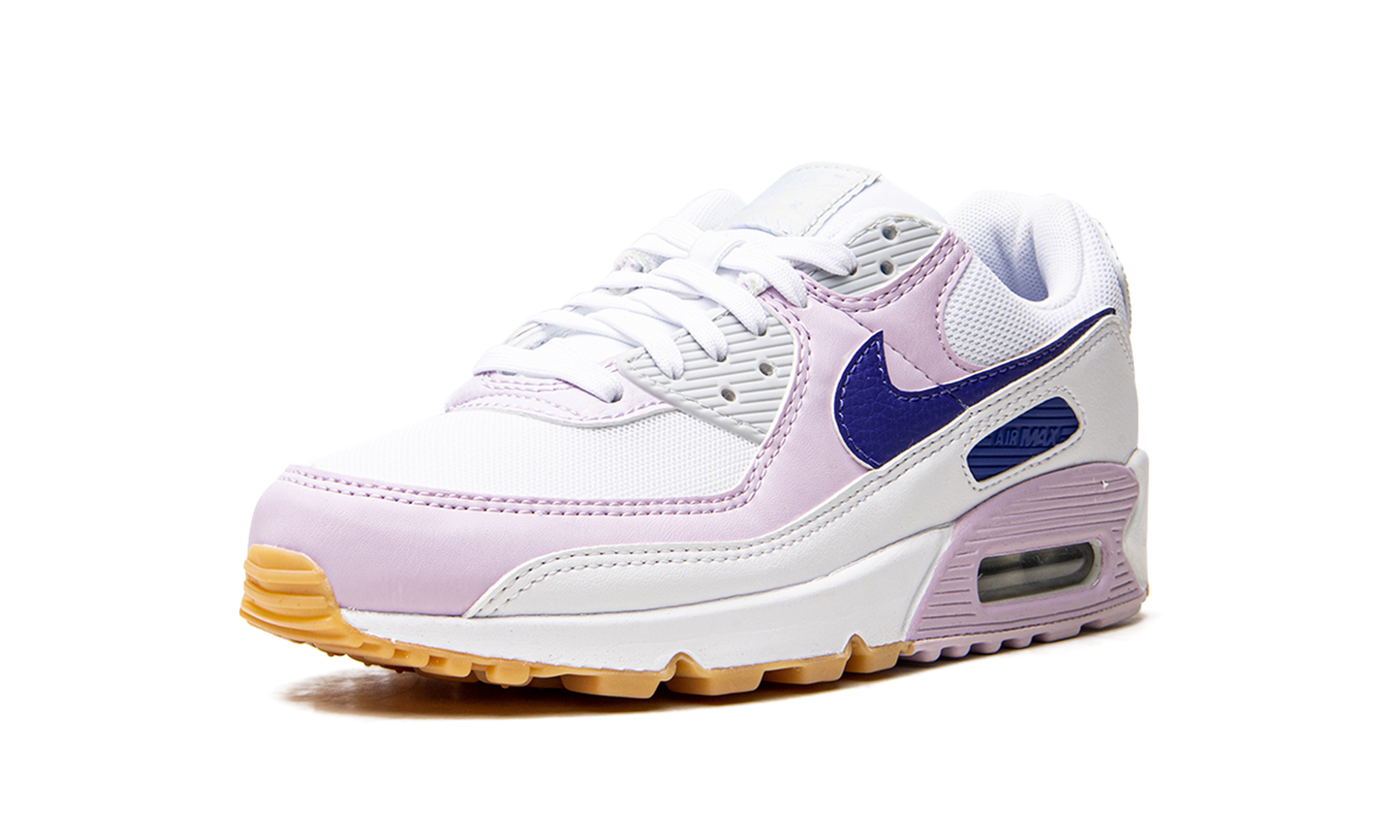 AIR MAX 90 WMNS DX3316 100
