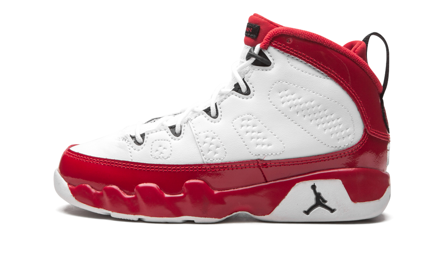 Air Jordan 9 Retro PS 401811 160