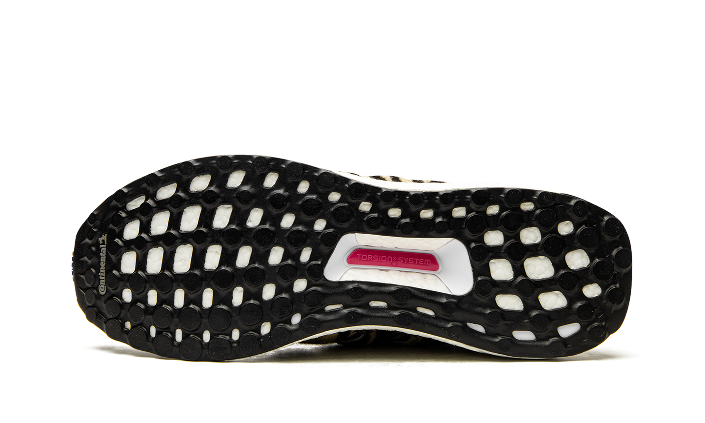 Ultraboost DNA "Animal Pack-Zebra" FZ2730