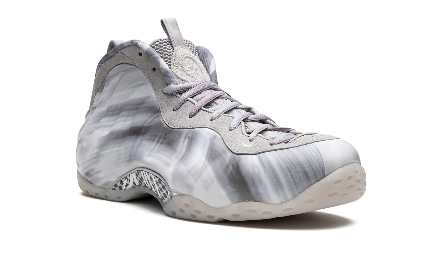 Air Foamposite One "Dream a World - Grey" DM0115 001