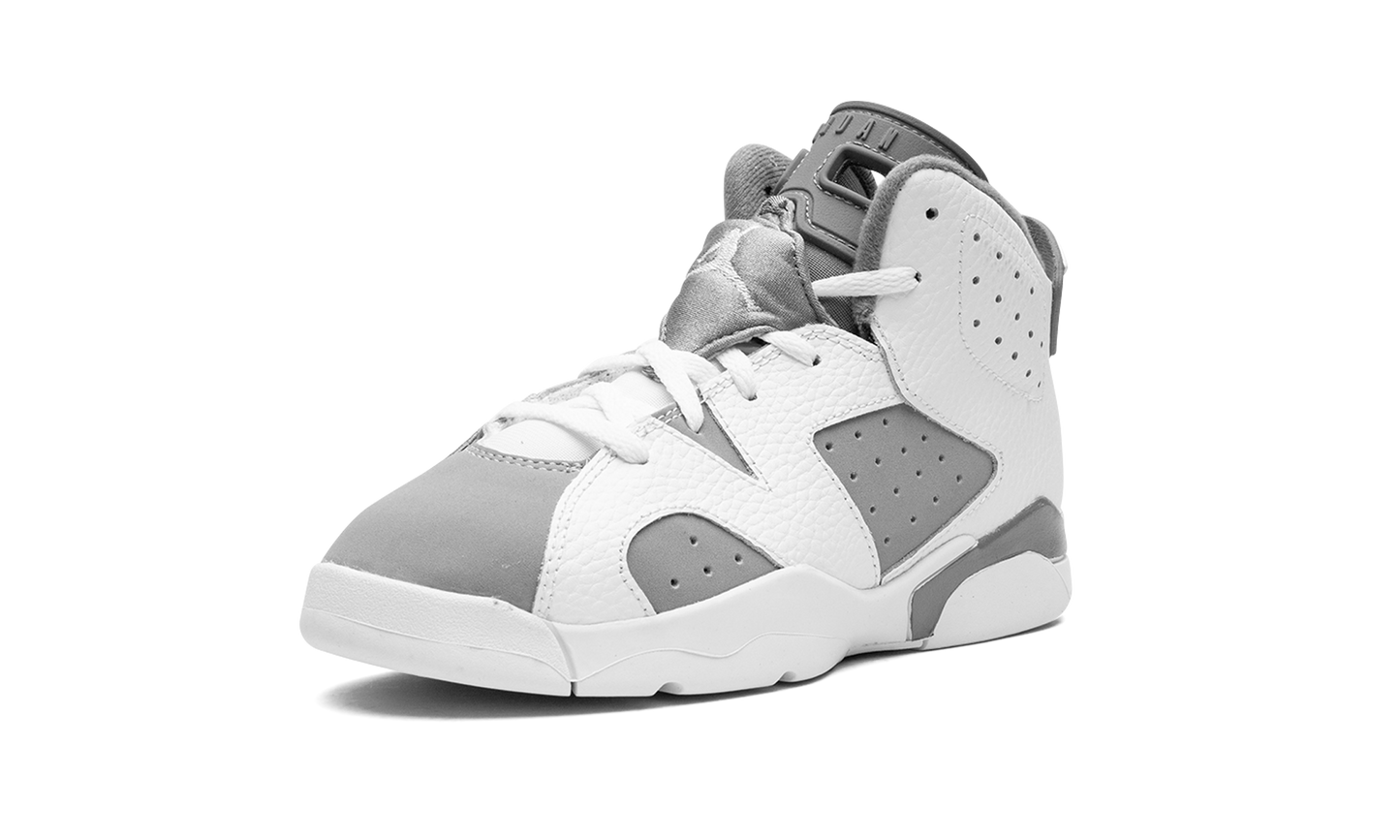 Air Jordan 6 PS "Cool Grey" DV3605 100