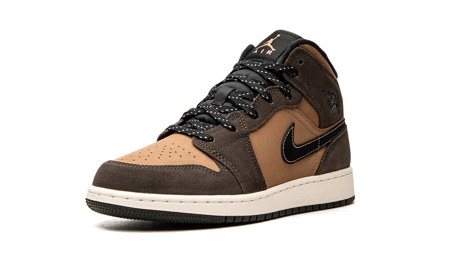 Air Jordan 1 Mid SE GS "Earth Tone" DC7248 200