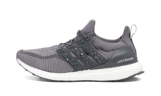 Ultraboost DNA CTY "Tokyo" FZ4858