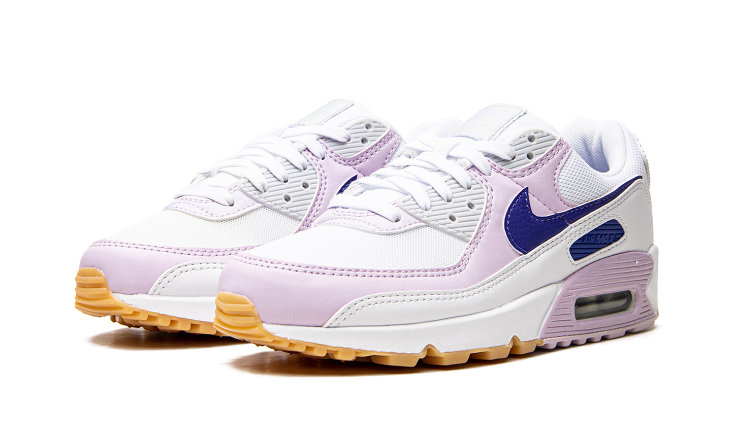 AIR MAX 90 WMNS DX3316 100