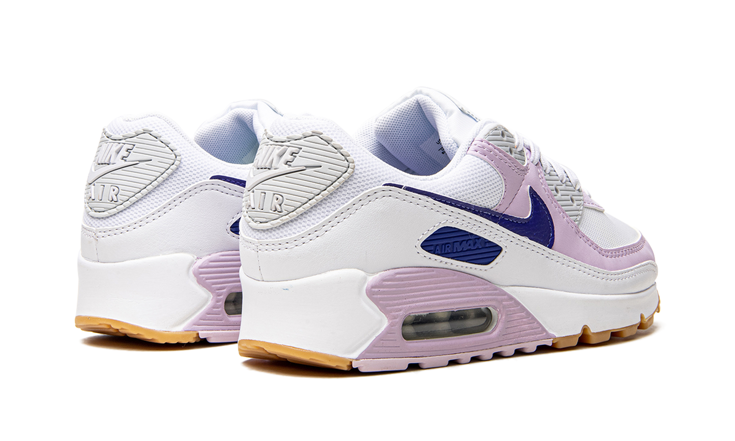 AIR MAX 90 WMNS DX3316 100